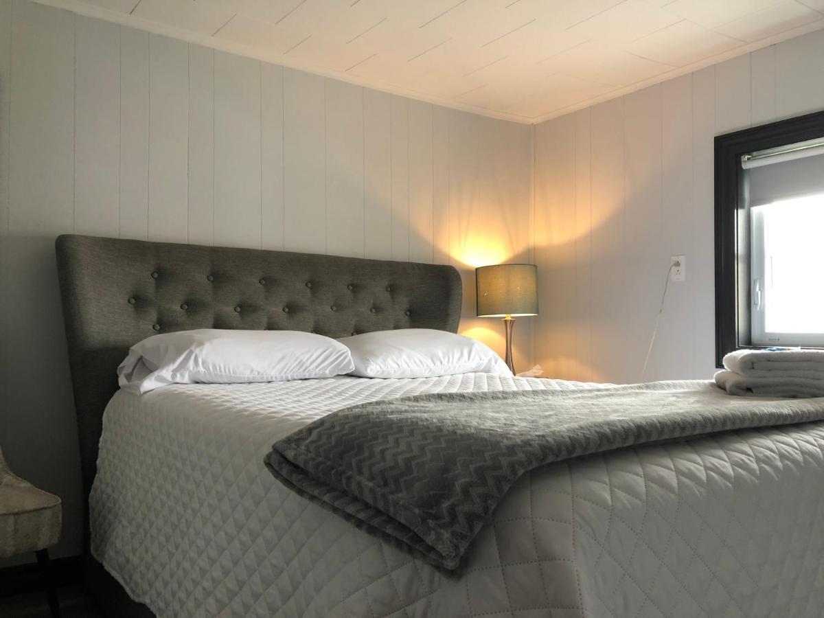 Alma'S Cape Shore Cottage! Your Home Away From Home! Bonavista Exteriör bild